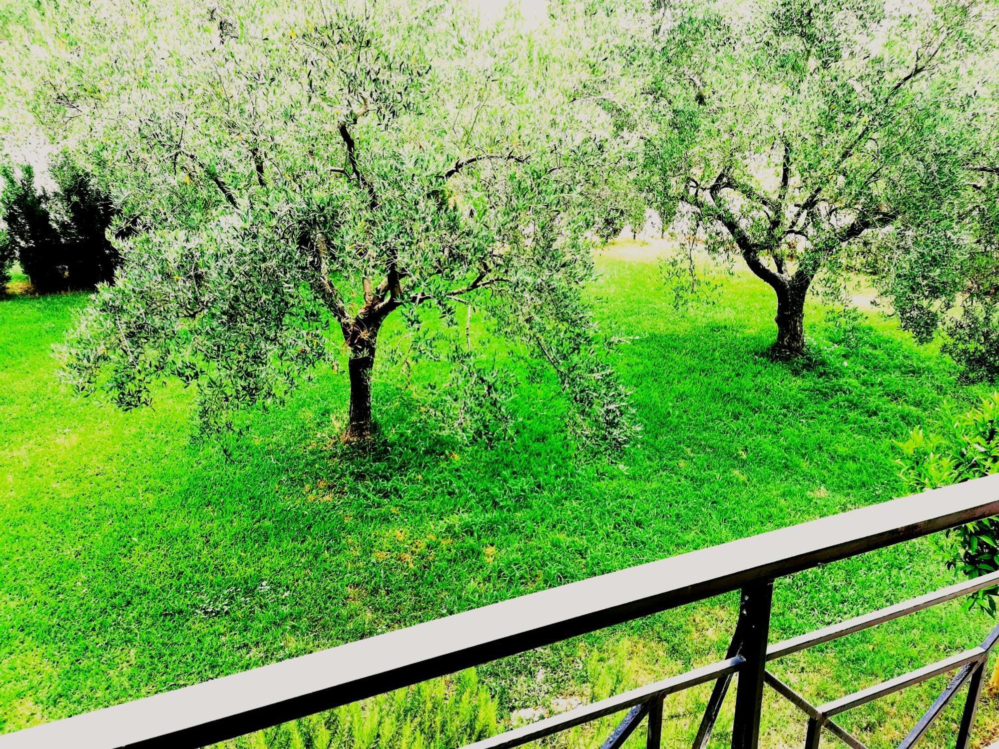 Giorgos Apartments Скала-Фуркас Екстер'єр фото